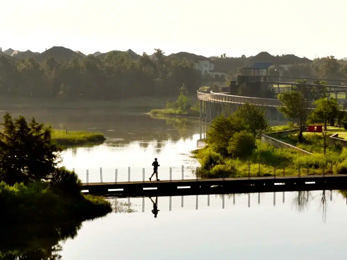 Bridgeland